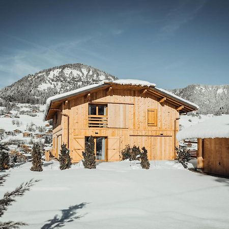 Nards Furnished Chalet Villa Praz-sur-Arly Exterior photo